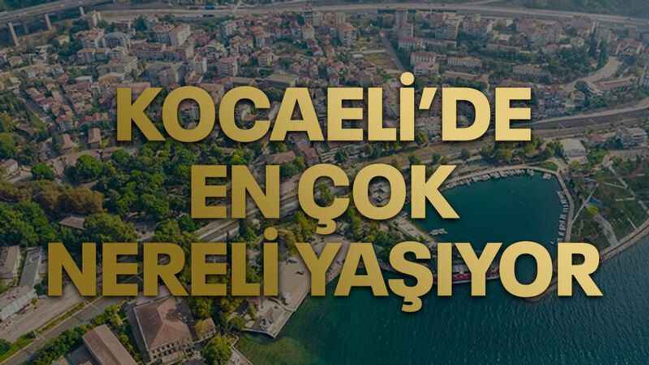 Kocaeli’de en çok nereli yaşıyor